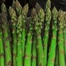 Vegetable Seed - Asparagus