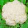 Vegetable Seed - Cauliflower