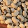 Vegetable Seed - Cowpea