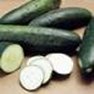 Vegetabel Seed - Cucumber